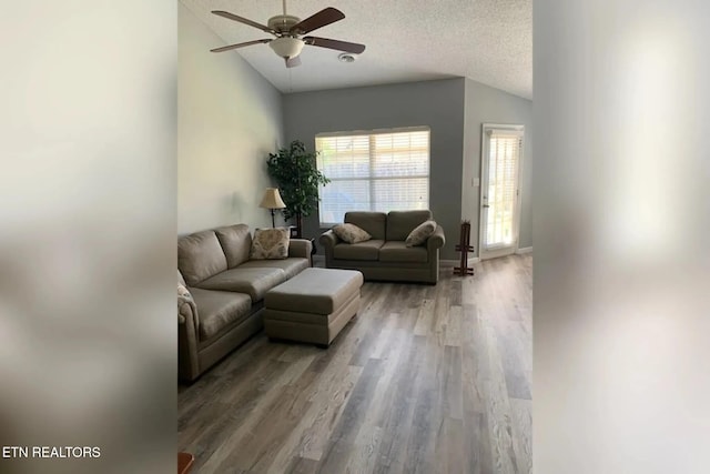 10008 Greylock Way, Knoxville, TN 37931 - living room with lofted ceiling, ceiling fan, wood finished floors, a textured ceiling, and baseboards
