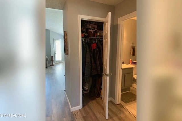 10008 Greylock Way, Knoxville, TN 37931 - hallway featuring light wood-style floors