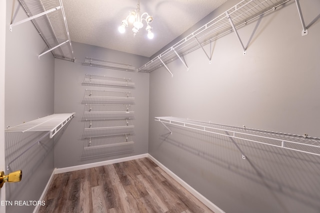 10008 Greylock Way, Knoxville, TN 37931 - walk in closet with wood finished floors