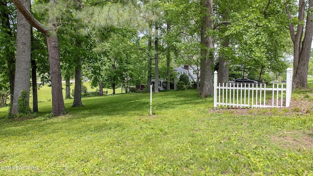view of yard