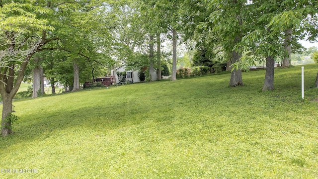 view of grassy yard