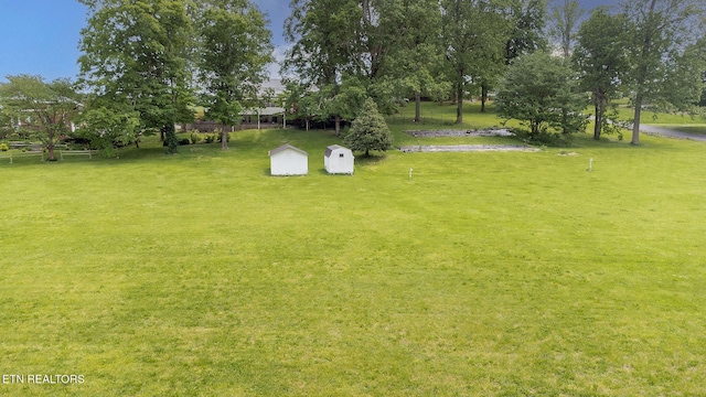 view of grassy yard