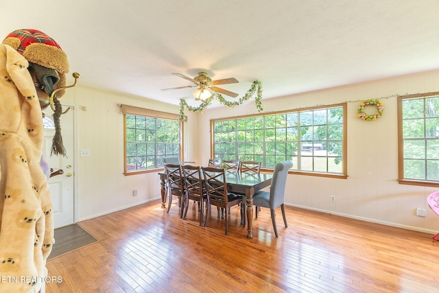 dining area with baseboards, light wood-style floors, a ceiling fan, and a textured ceiling