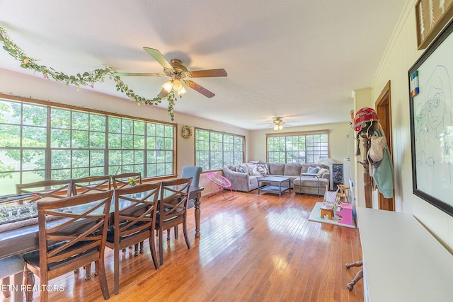 dining room featuring ceiling fan and light wood-style flooring