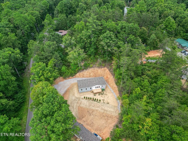 1530 Alpine Dr, Sevierville, TN 37876 - photo 39
