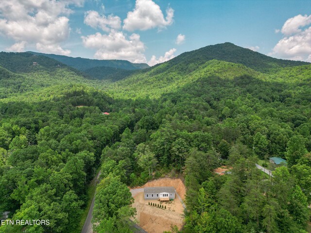 1530 Alpine Dr, Sevierville, TN 37876 - photo 46