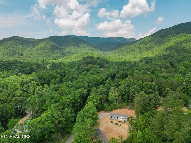 1530 Alpine Dr, Sevierville, TN 37876 - photo 47