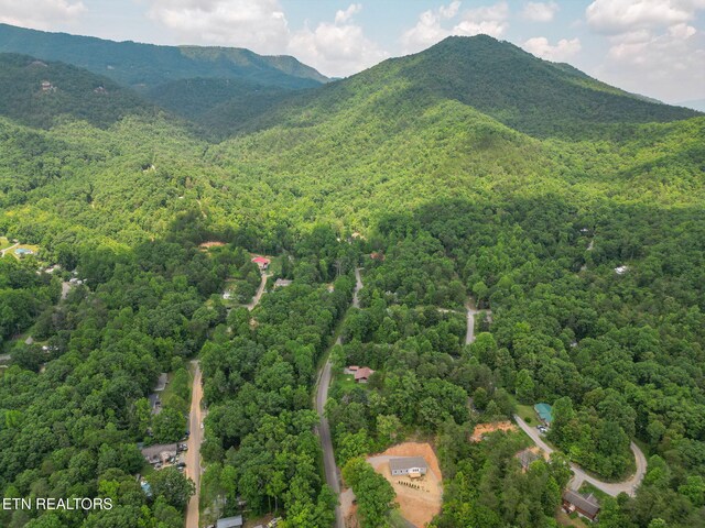 1530 Alpine Dr, Sevierville, TN 37876 - photo 48