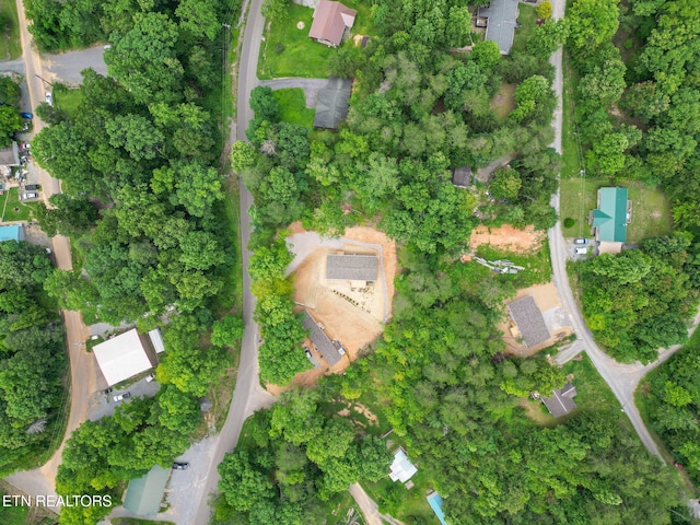 1530 Alpine Dr, Sevierville, TN 37876 - photo 50