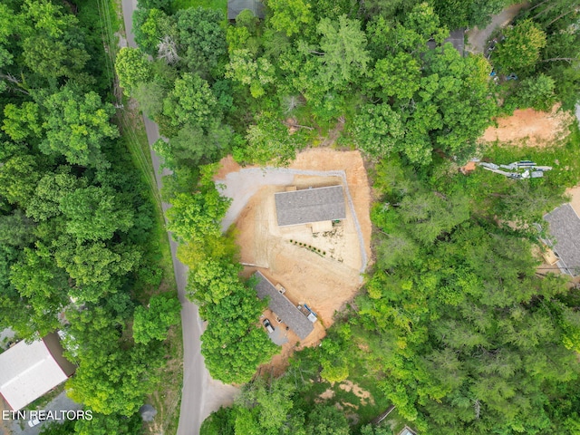 1530 Alpine Dr, Sevierville, TN 37876 - photo 49