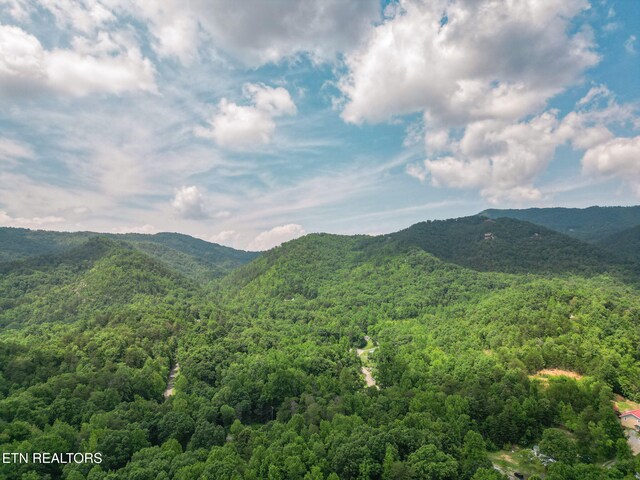 1530 Alpine Dr, Sevierville, TN 37876 - photo 40