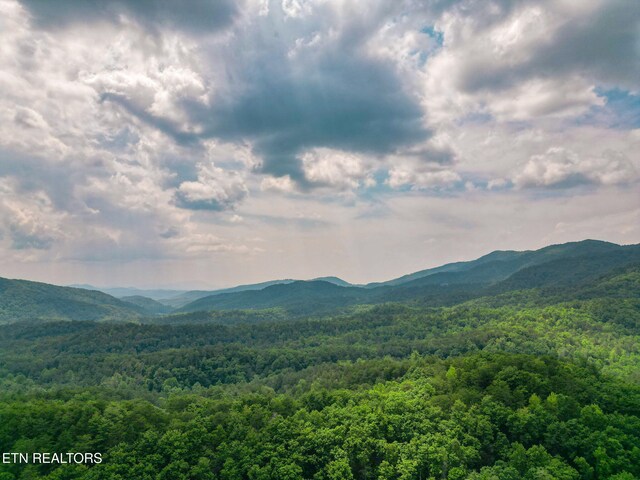 1530 Alpine Dr, Sevierville, TN 37876 - photo 41
