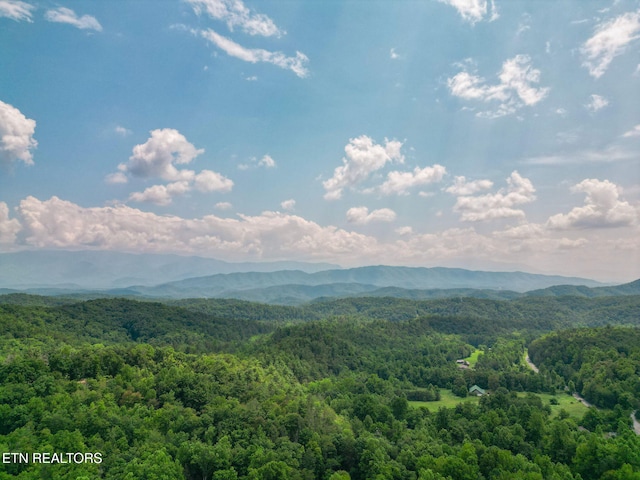 1530 Alpine Dr, Sevierville, TN 37876 - photo 42