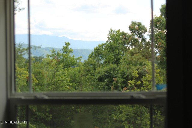 1530 Alpine Dr, Sevierville, TN 37876 - photo 13