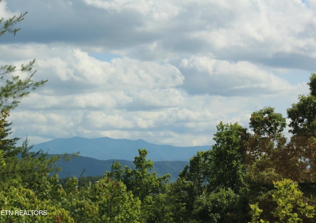 1530 Alpine Dr, Sevierville, TN 37876 - photo 15