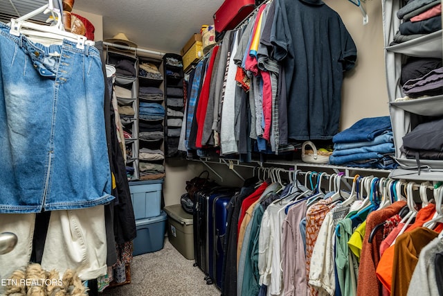 332 Caboose Ln, Maryville, TN 37804 - walk in closet featuring carpet