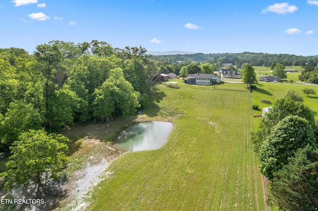 8307 Stoney View Ln, Corryton, TN 37721 - bird's eye view of a nearby body of water