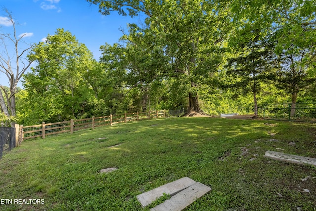 8307 Stoney View Ln, Corryton, TN 37721 - view of yard