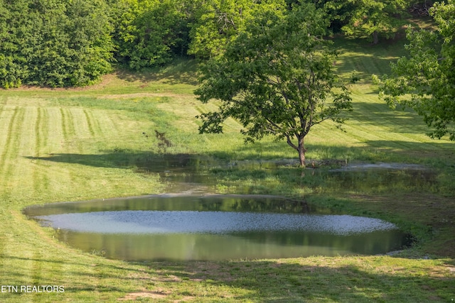 8307 Stoney View Ln, Corryton, TN 37721 - water view