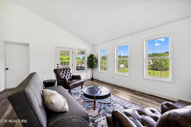 8307 Stoney View Ln, Corryton, TN 37721 - living area featuring dark wood finished floors, high vaulted ceiling, and baseboards