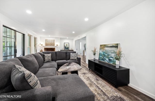 8307 Stoney View Ln, Corryton, TN 37721 - living area featuring dark wood-type flooring, recessed lighting, crown molding, baseboards, and a fireplace