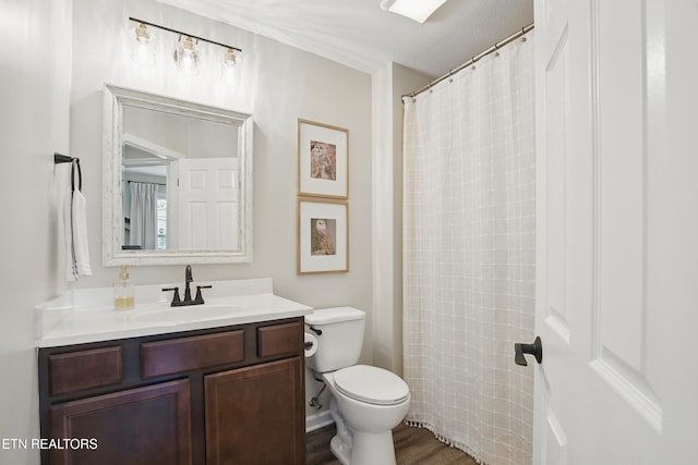 406 Contentment Ln, Knoxville, TN 37920 - full bathroom featuring toilet, vanity, and wood finished floors