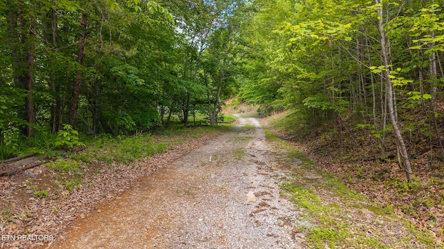 632 Jacobs Hollow Rd, Sneedville, TN 37869 - photo 3