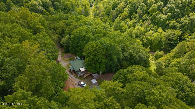 632 Jacobs Hollow Rd, Sneedville, TN 37869 - photo 10