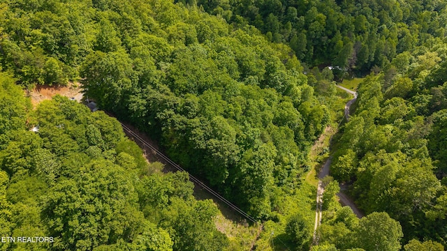 632 Jacobs Hollow Rd, Sneedville, TN 37869 - photo 11