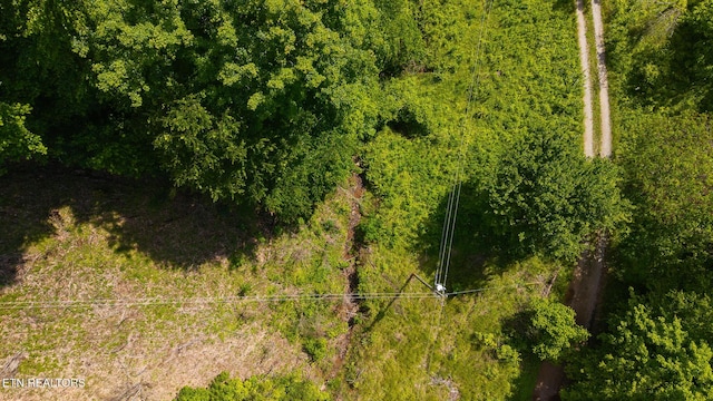 632 Jacobs Hollow Rd, Sneedville, TN 37869 - photo 12