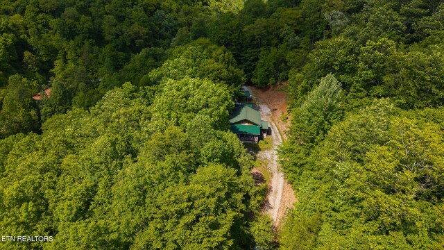 632 Jacobs Hollow Rd, Sneedville, TN 37869 - photo 2