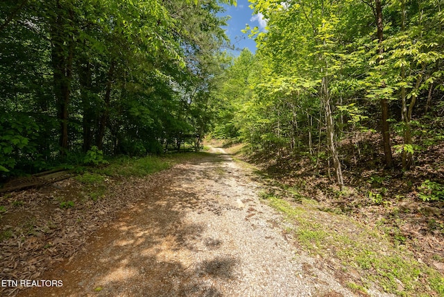 632 Jacobs Hollow Rd, Sneedville, TN 37869 - photo 14
