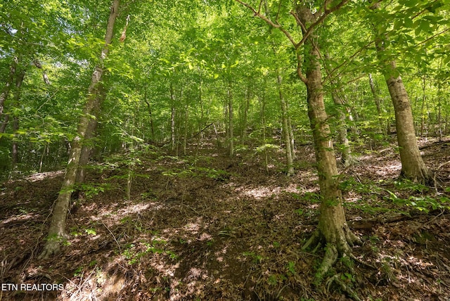 632 Jacobs Hollow Rd, Sneedville, TN 37869 - photo 55