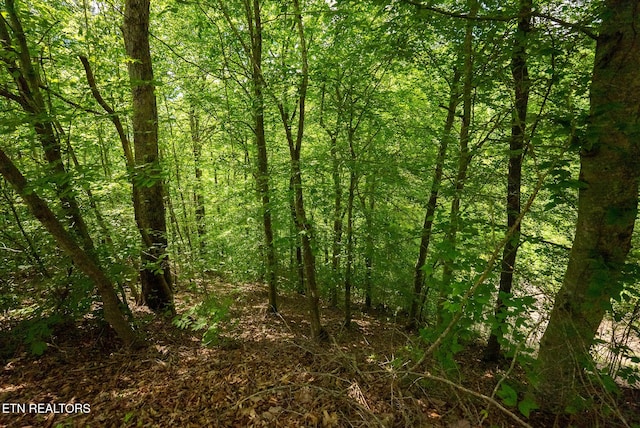 632 Jacobs Hollow Rd, Sneedville, TN 37869 - photo 60