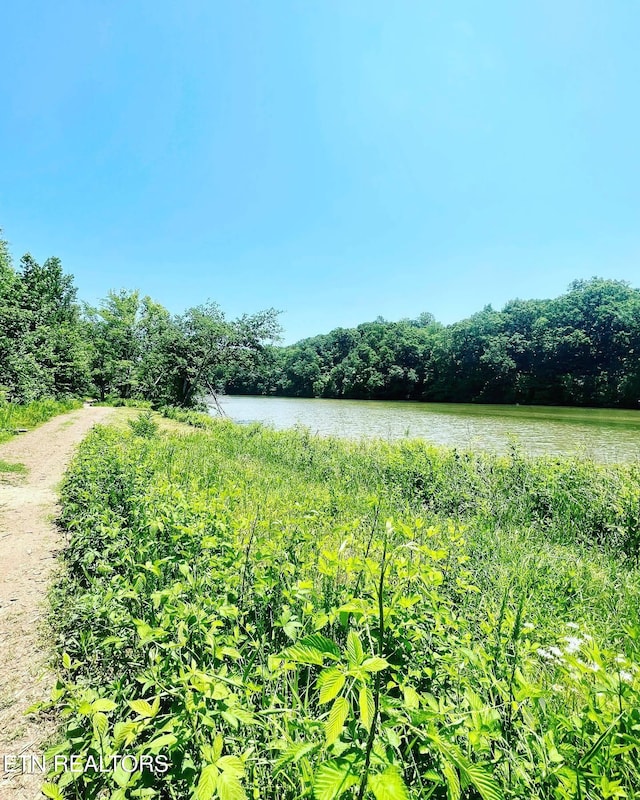 540 Broadberry Ave Lot 33B, Oak Ridge, TN 37830 - view of yard featuring a water view and a forest view