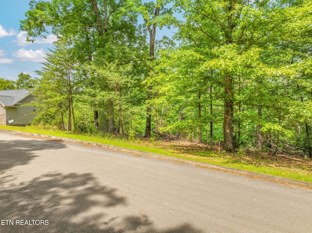 LOT15 Waterstone Dr, Dandridge, TN 37725