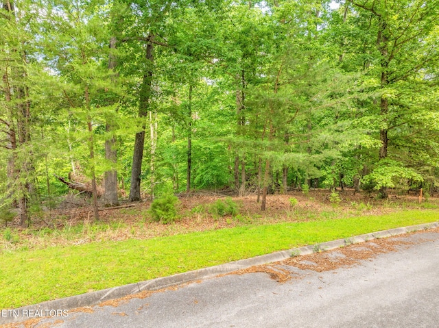 LOT15 Waterstone Dr, Dandridge, TN 37725