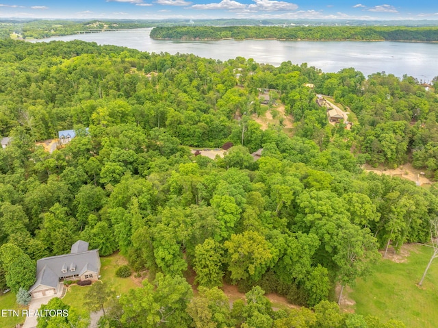 LOT15 Waterstone Dr, Dandridge, TN 37725