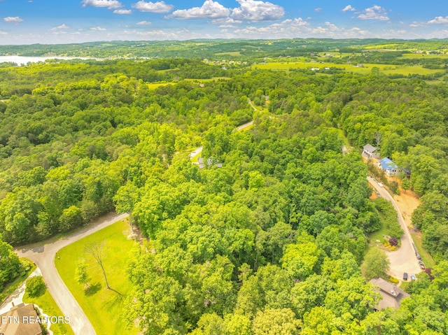 LOT15 Waterstone Dr, Dandridge, TN 37725