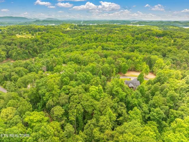 LOT15 Waterstone Dr, Dandridge, TN 37725