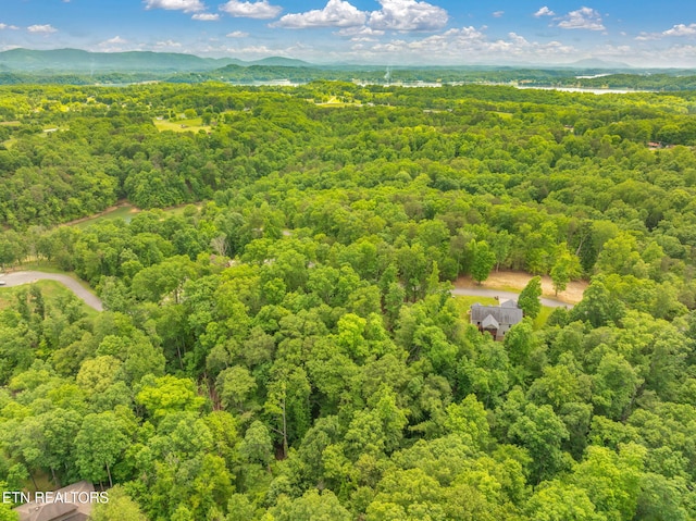 LOT15 Waterstone Dr, Dandridge, TN 37725