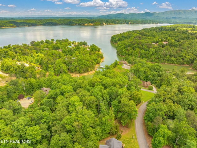 LOT15 Waterstone Dr, Dandridge, TN 37725