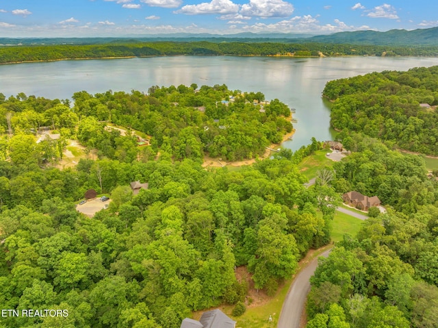 LOT15 Waterstone Dr, Dandridge, TN 37725