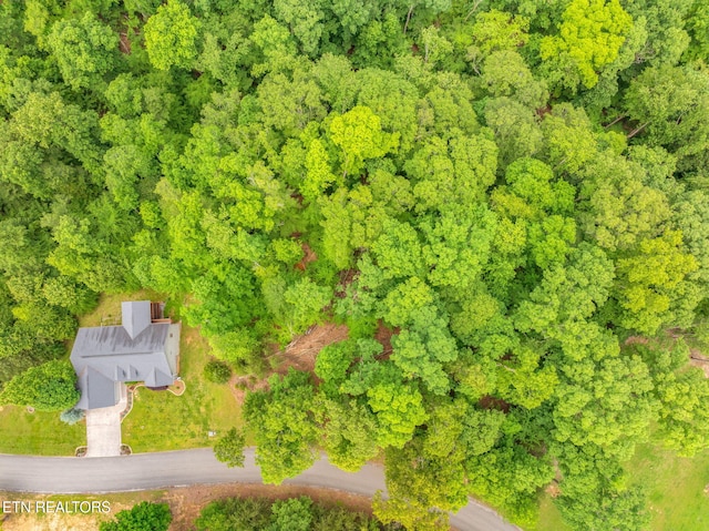 LOT15 Waterstone Dr, Dandridge, TN 37725