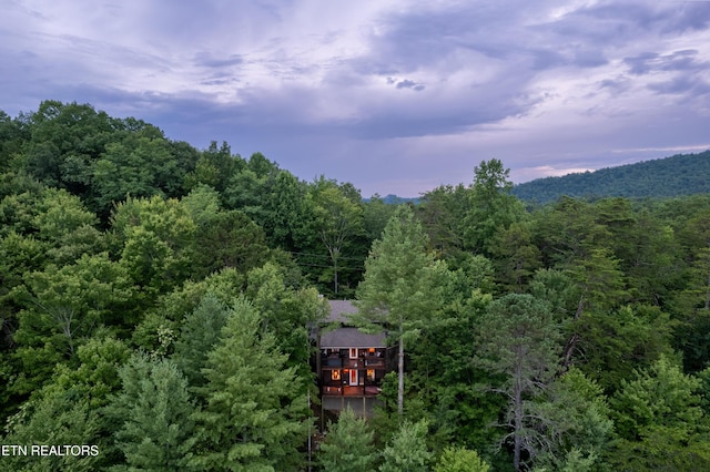 4186 Evans Chapel Rd, Sevierville, TN 37876 - view of subject property featuring a heavily wooded area