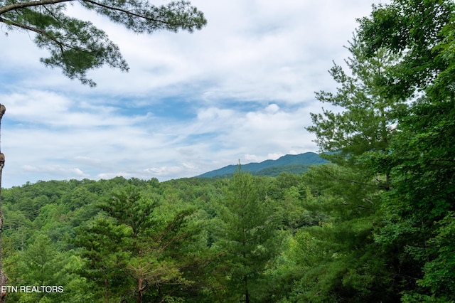 4186 Evans Chapel Rd, Sevierville, TN 37876 - view of mountain backdrop with a forest