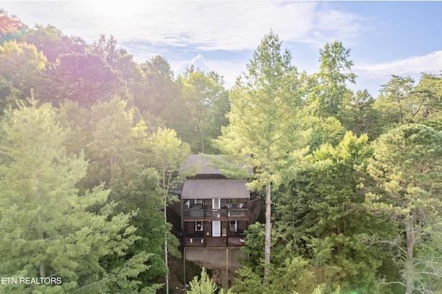 4186 Evans Chapel Rd, Sevierville, TN 37876 - view of subject property with a forest