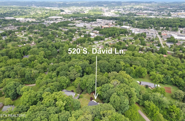 520 S David Ln, Knoxville, TN 37922 - aerial view of property and surrounding area with a forest