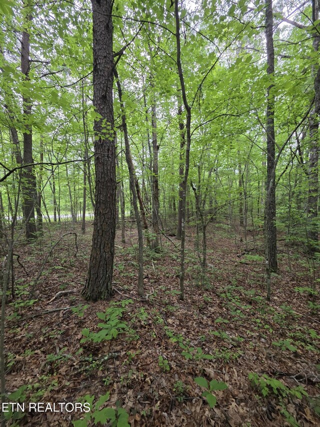 4 Cumberland Lakes Dr, Monterey, TN 38574 - photo 3