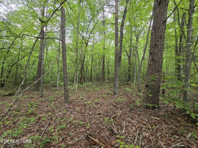 4 Cumberland Lakes Dr, Monterey, TN 38574 - photo 5